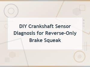Diy Crankshaft Sensor Diagnosis for Brake Squeak When Reversing