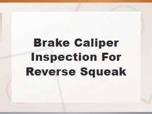 Brake Caliper Inspection Guide for Reverse Squeak Issues